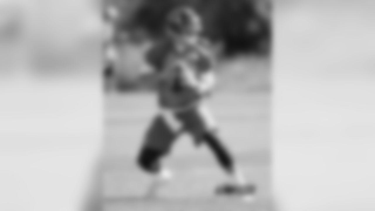 QB Brian Hoyer