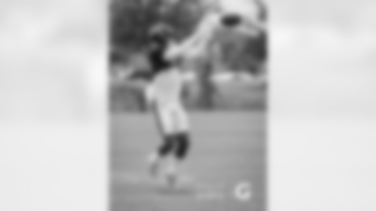 WR Allen Robinson II