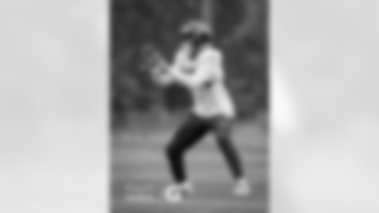 WR Allen Robinson II