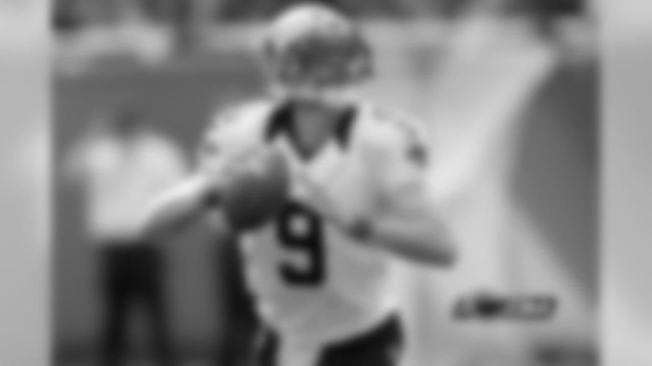 Backup: Luke McCown