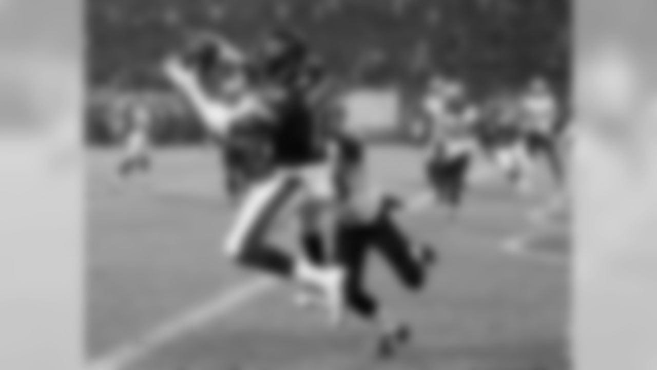 Bears WR Alshon Jeffery catches a touchdown pass