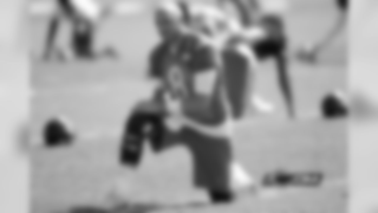 QB Brian Hoyer
