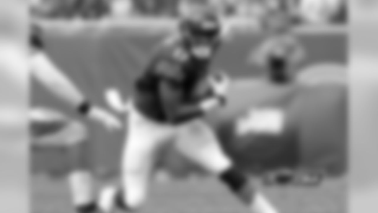 WR Alshon Jeffery