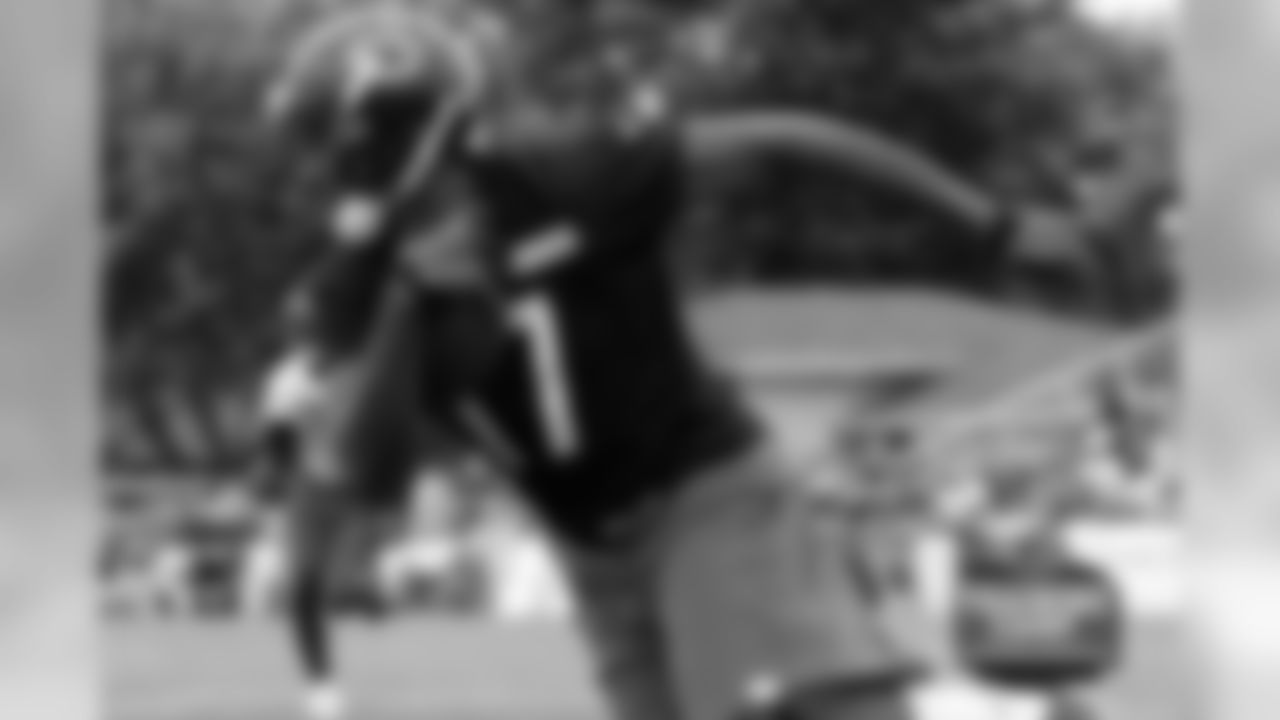 WR #17 Alshon Jeffery