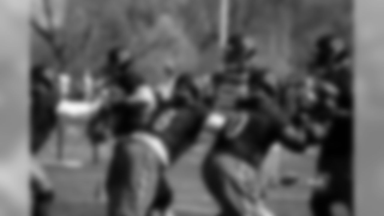 Bears Offensive Line