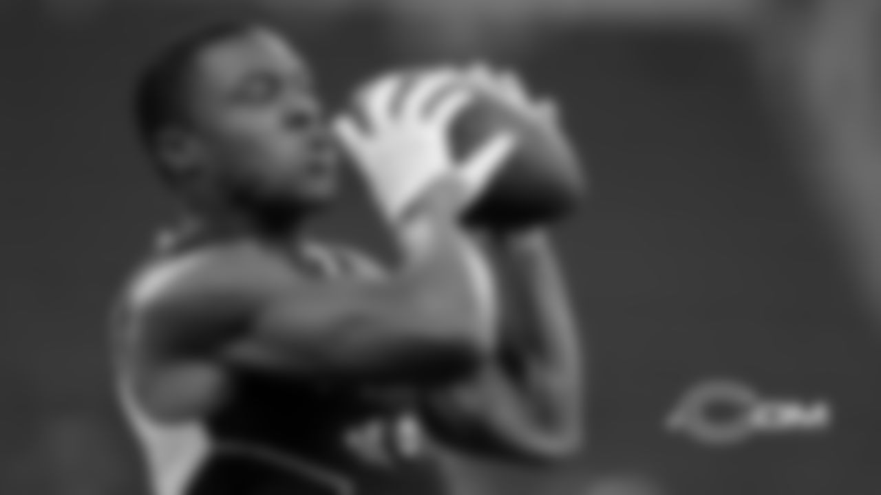 WR Allen Robinson II, 2014