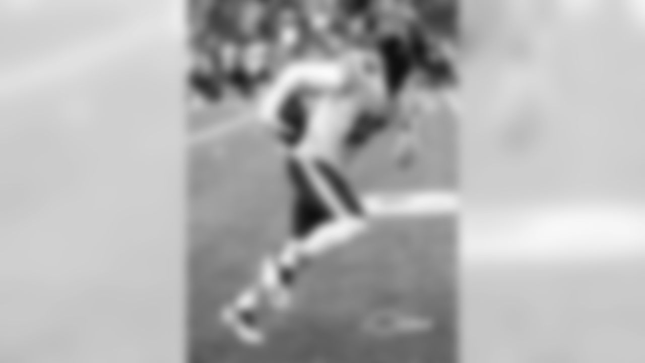 WR Allen Robinson II