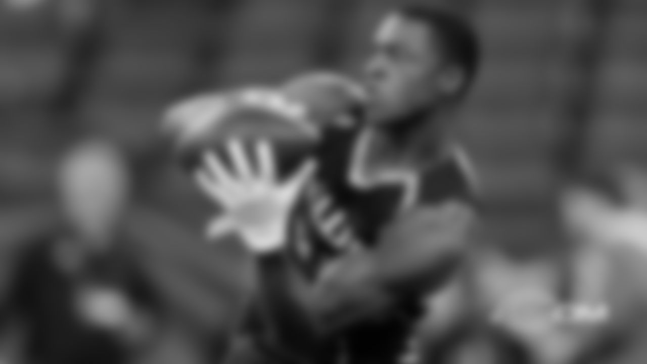 WR Allen Robinson II