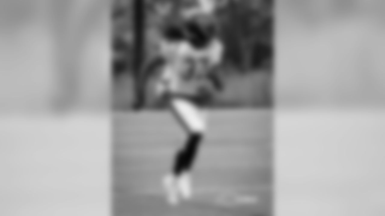 DB Stephen Denmark | #37d