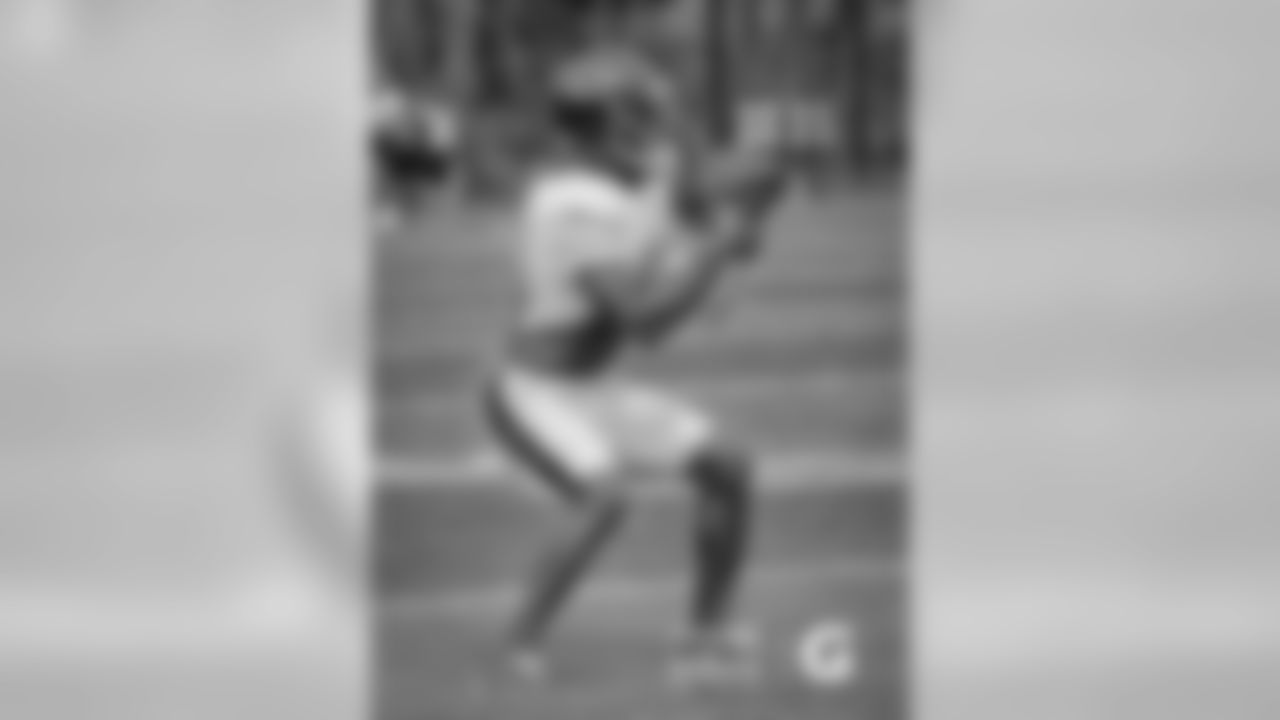 WR Taylor Gabriel
