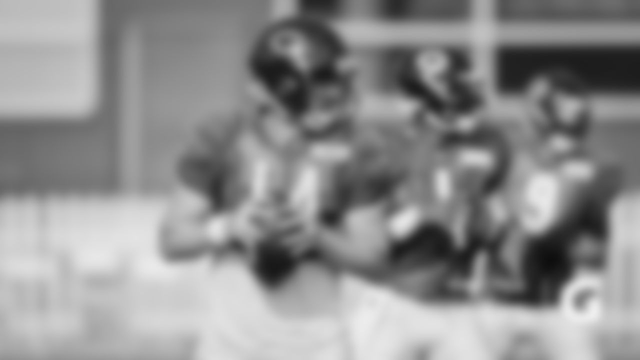 QB Andy Dalton, QB Justin Fields, QB Nick Foles