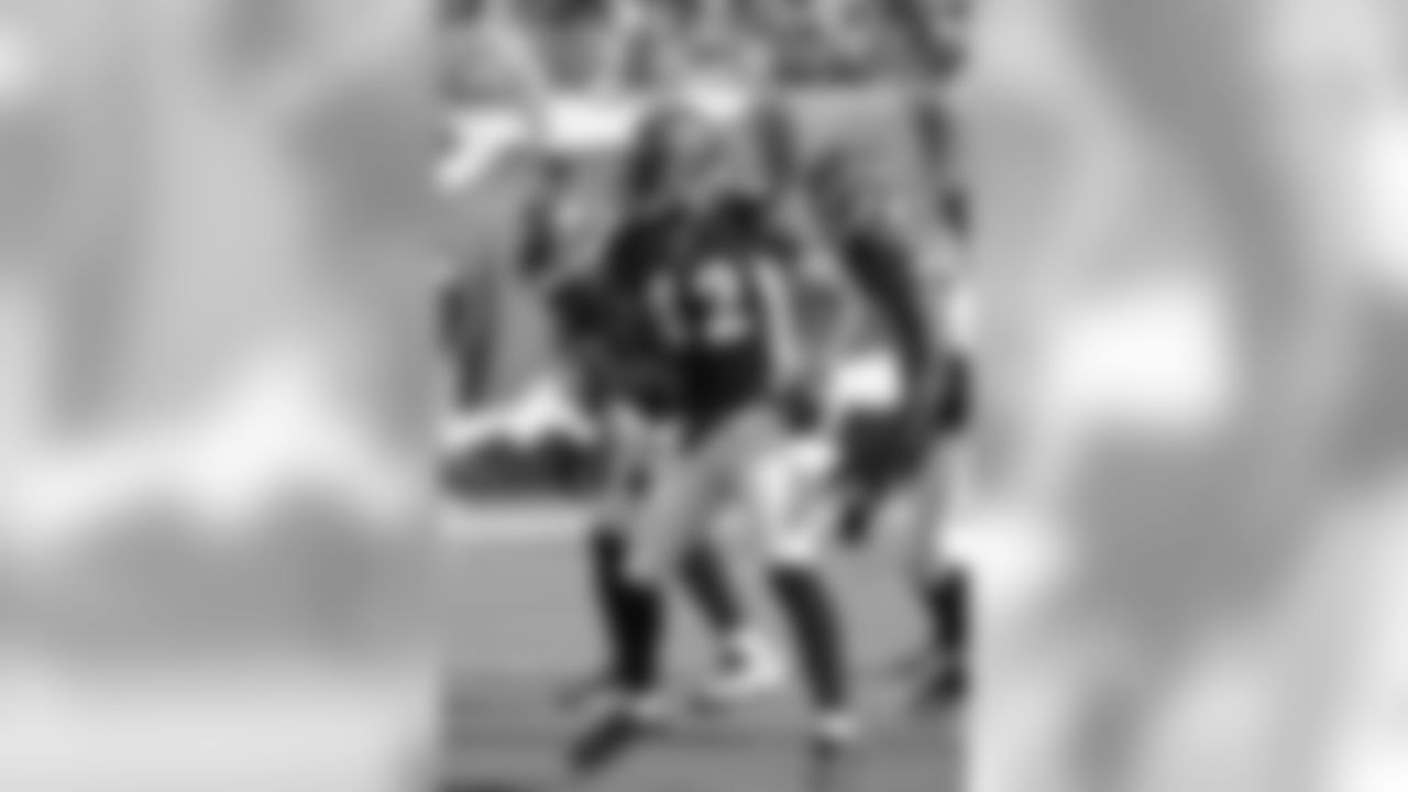 Dolphins-Bengals Gallery (10/31/10)
