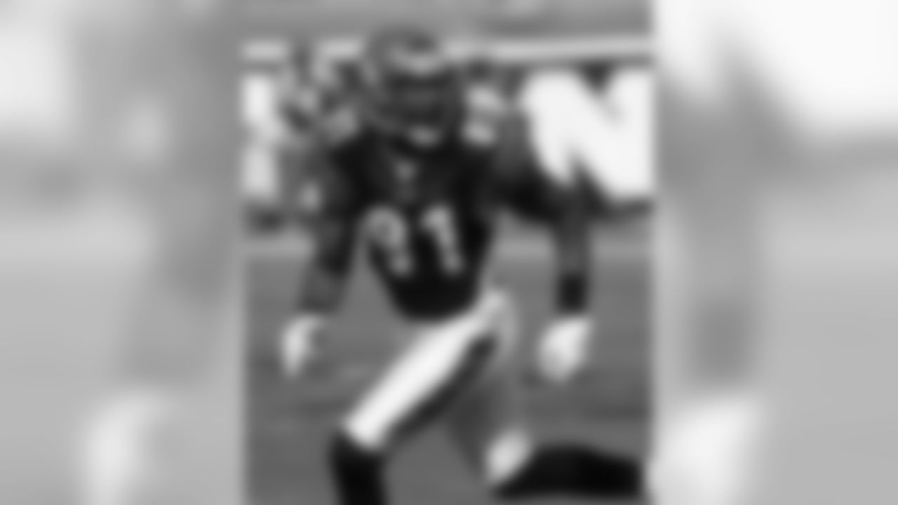 Dolphins-Bengals Gallery (10/31/10)