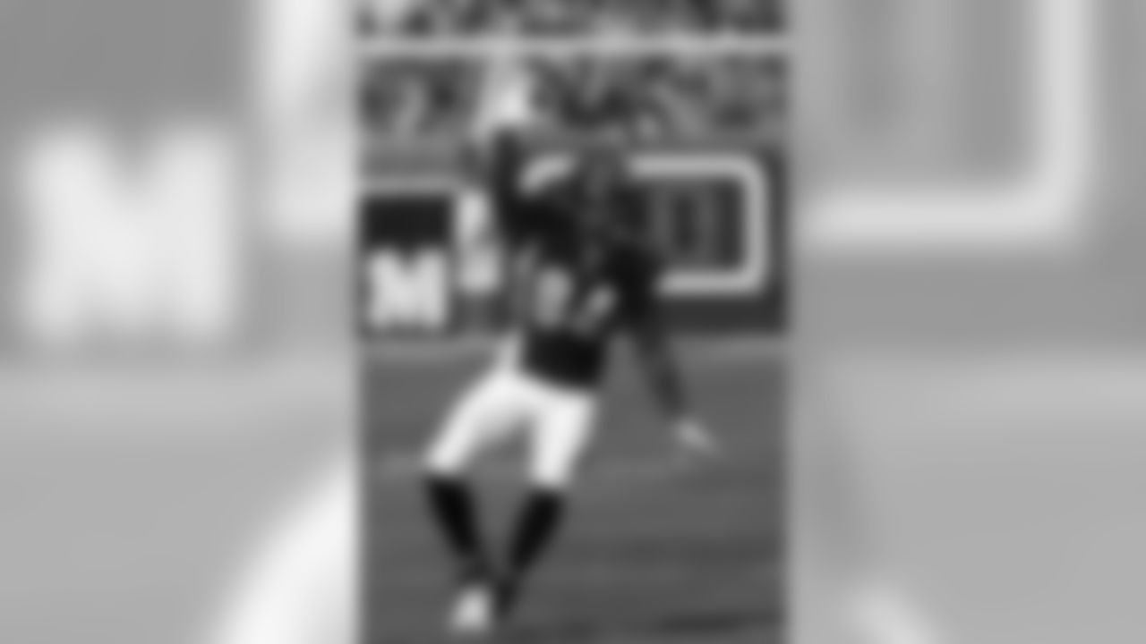 Dolphins-Bengals Gallery (10/31/10)