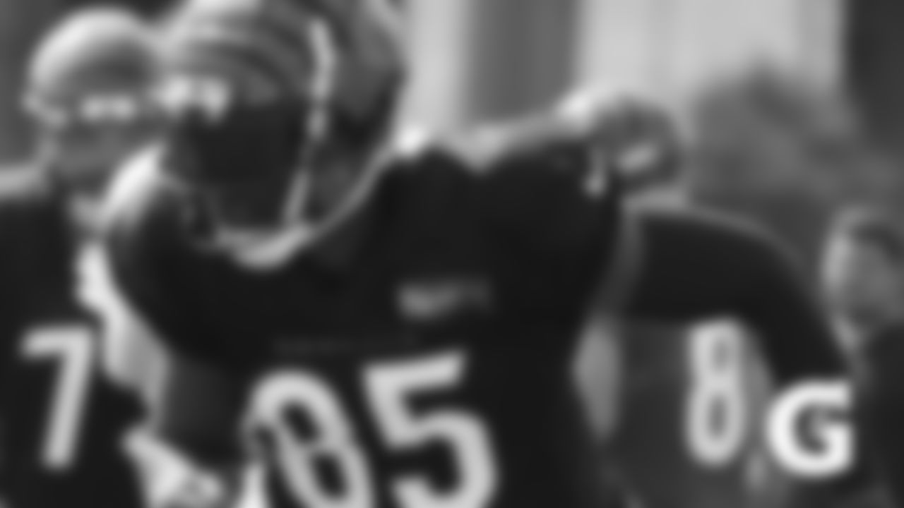 WR Tee Higgins