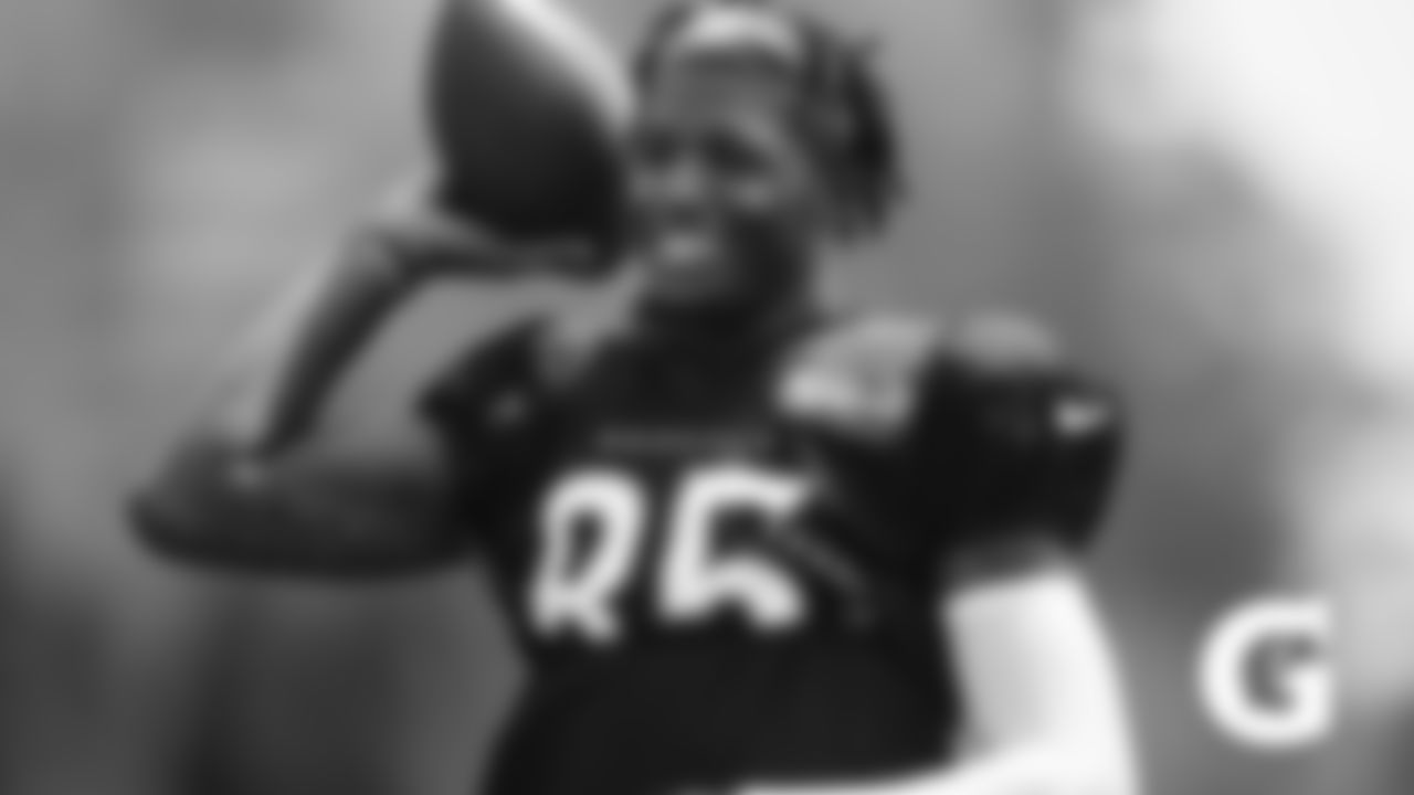 WR Tee Higgins