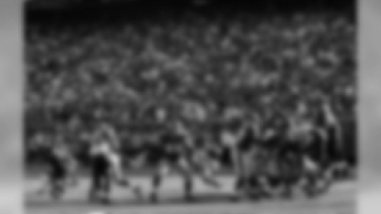 Bengals Photo