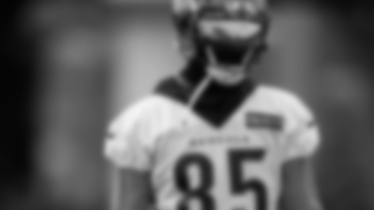 Tee Higgins
