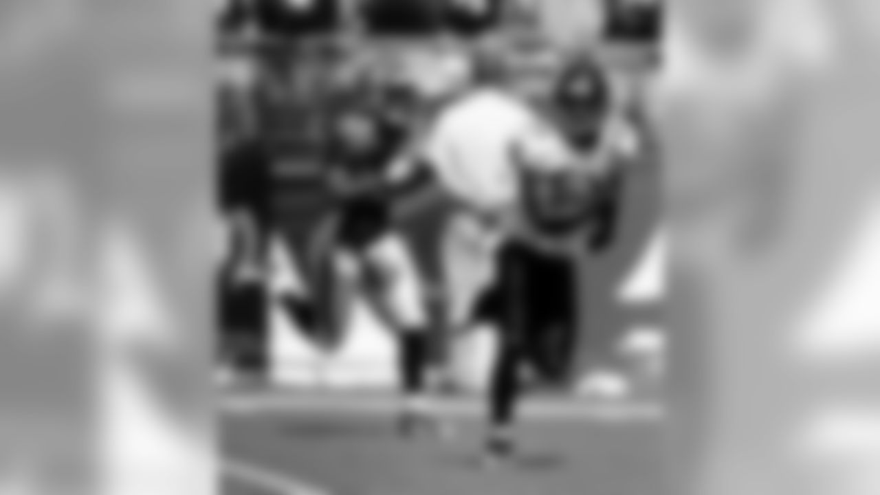 Bengals Photo