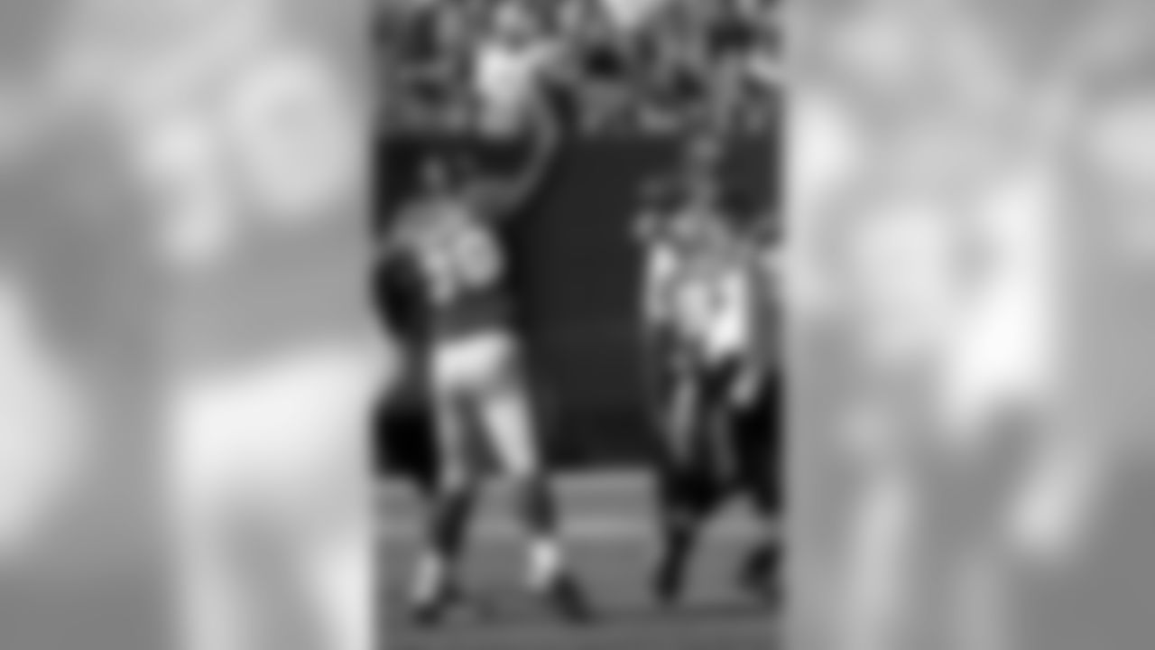 Bengals Photo