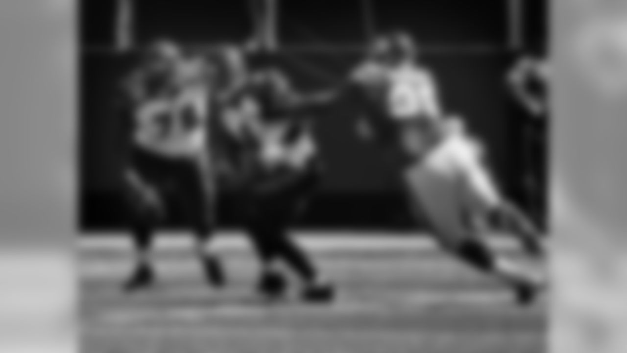 Bengals Photo