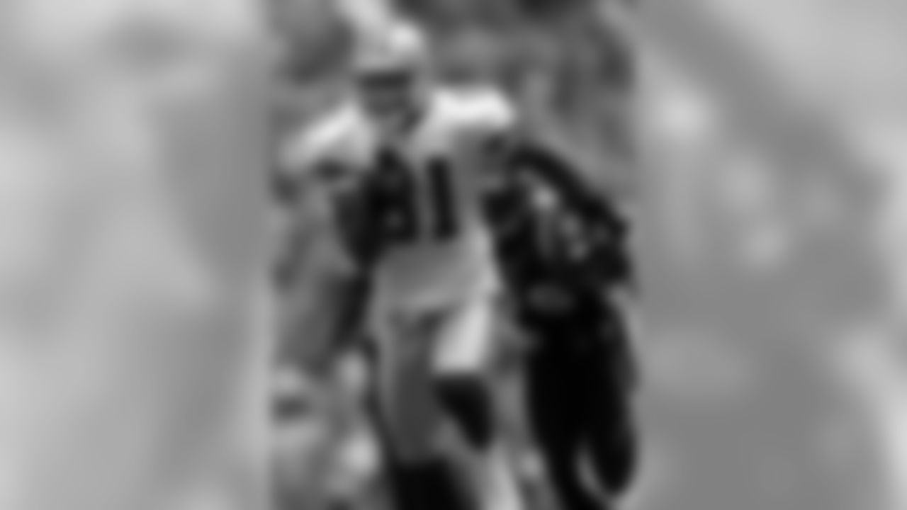Bengals Photo