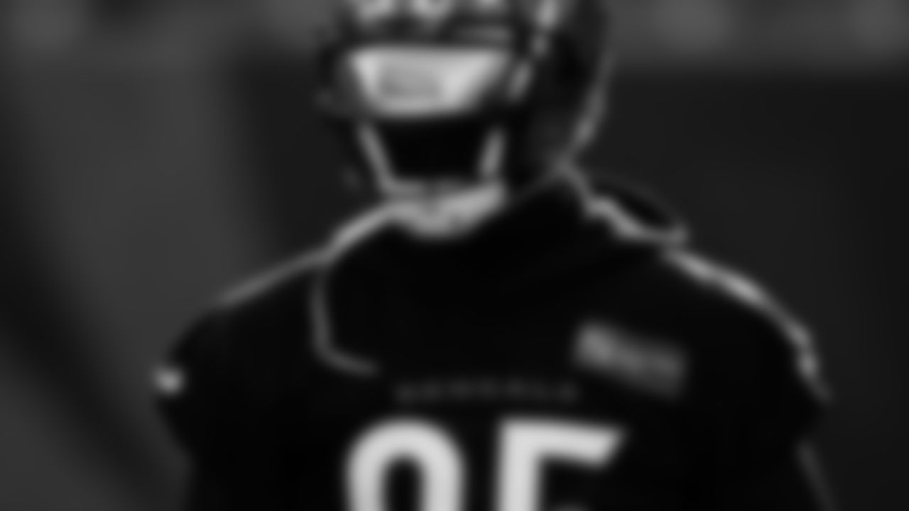 Tee Higgins