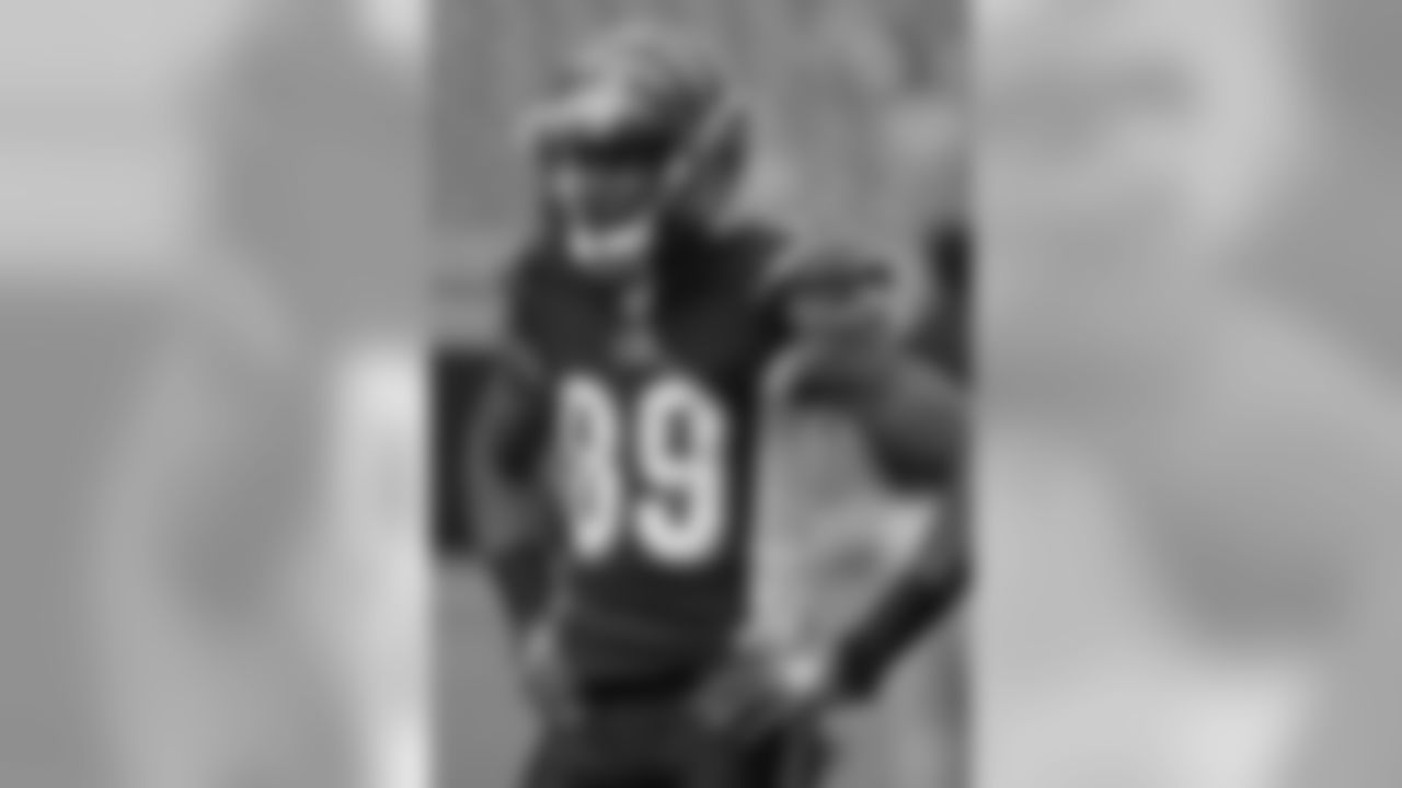 49ers-Bengals Photo Gallery (9/25/11)