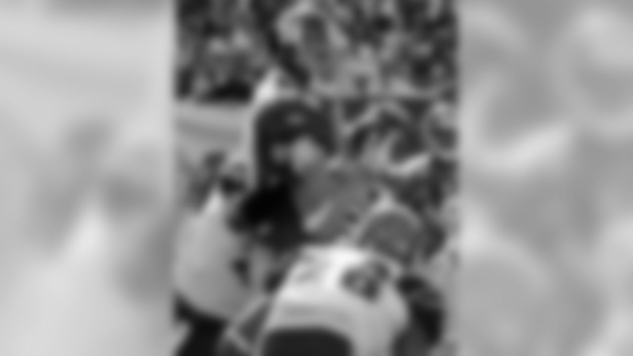 Bengals Photo
