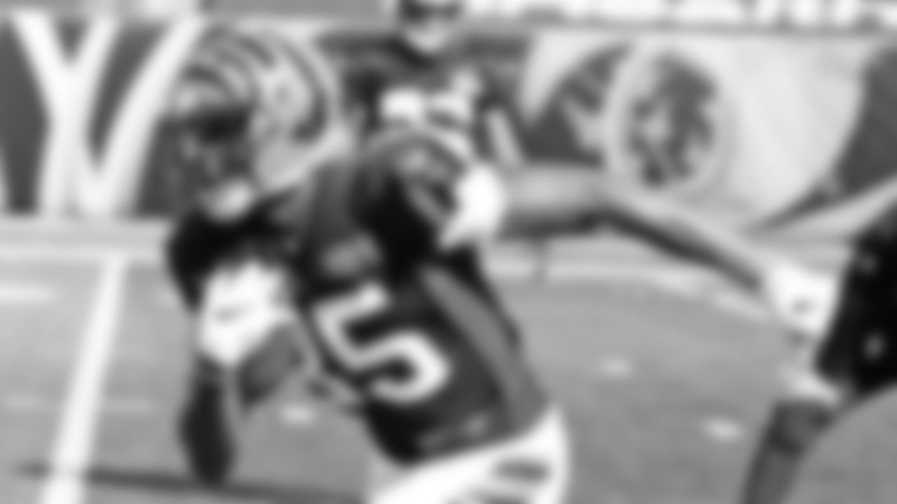 WR Tee Higgins