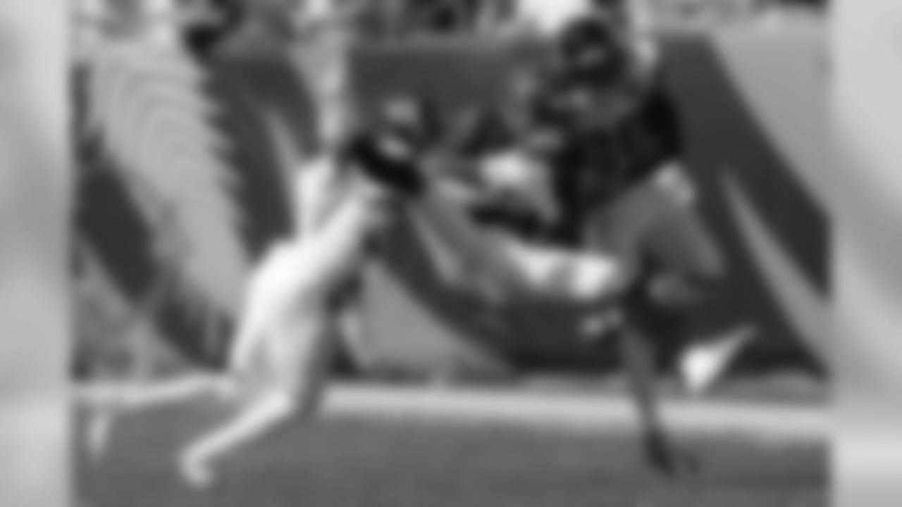 Cincinnati Bengals wide receiver Auden Tate (19) catches a pass against Jacksonville Jaguars defensive back Jarrod Wilson (26) in the second half of an NFL football game, Sunday, Oct. 20, 2019, in Cincinnati. (AP Photo/Gary Landers)