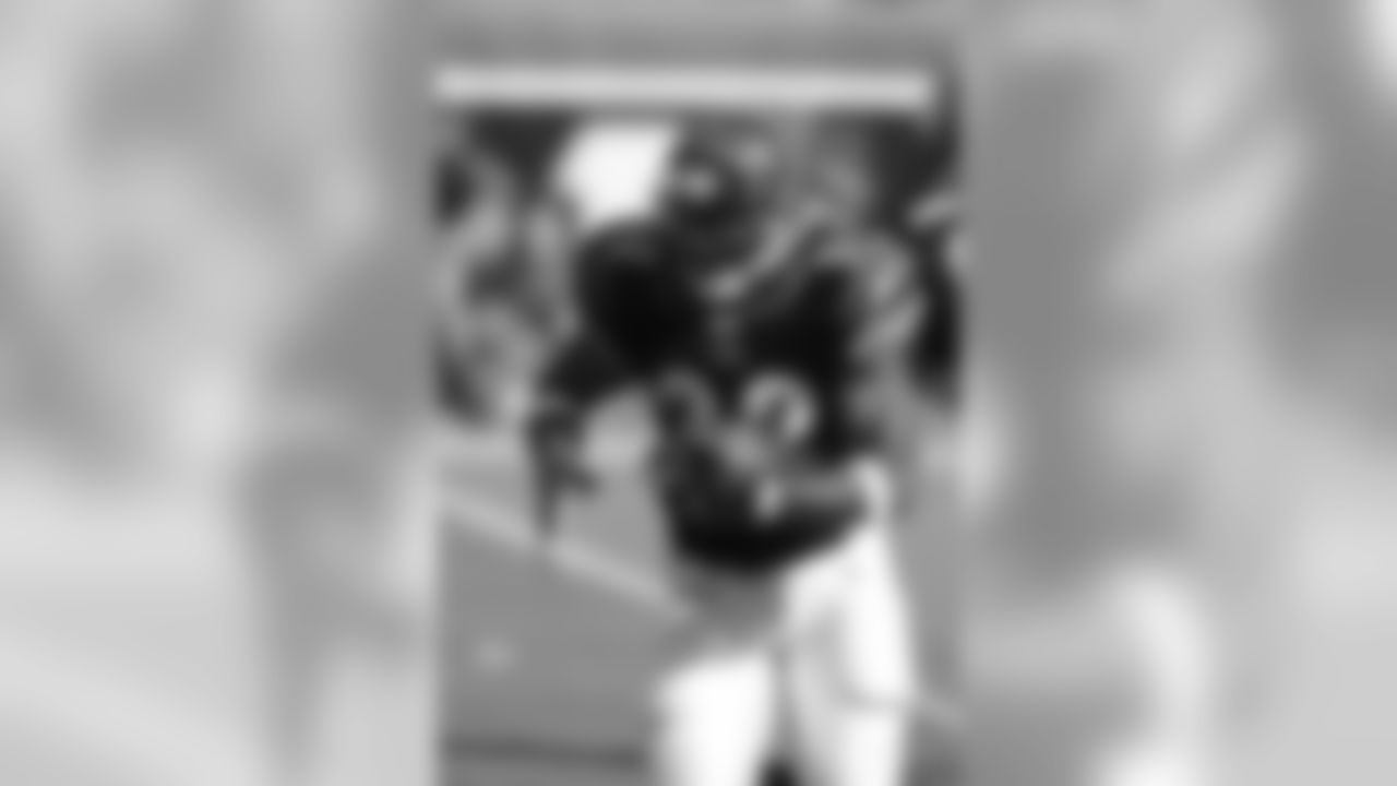 Dolphins-Bengals Gallery (10/31/10)