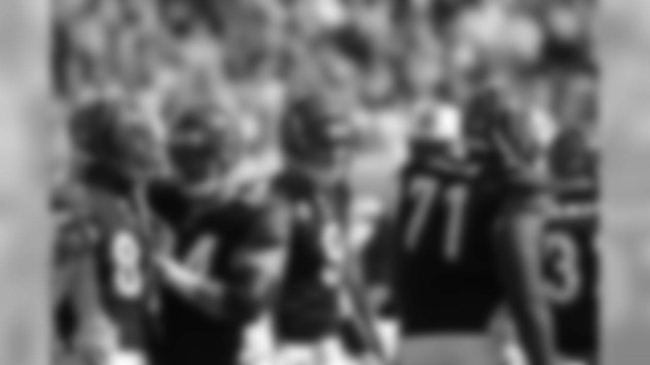Dolphins-Bengals Gallery (10/31/10)