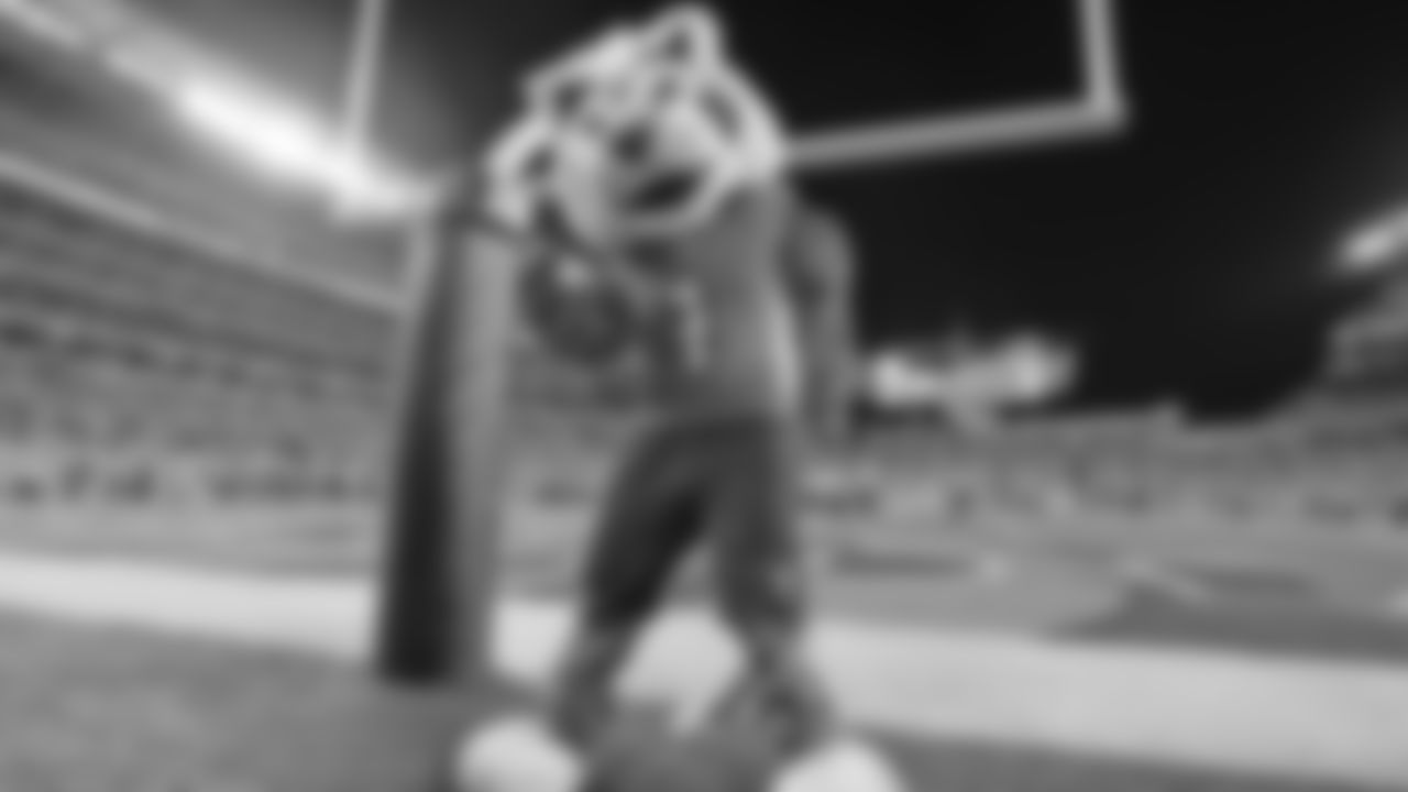 Who Dey, the Cincinnati Bengals mascot is seen on the sidelines as he entertains fans during a week 10 NFL football game between the Houston Texans against the Cincinnati Bengals on Monday, Nov. 16, 2015 in Cincinnati. (Scott Boehm via AP)