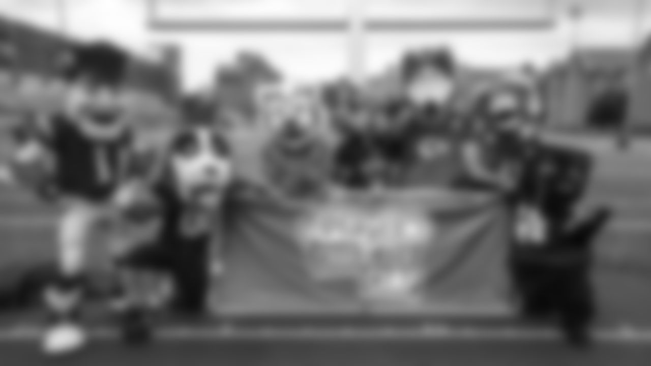 190717-summit_mascots
