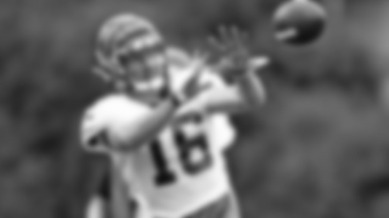 Wide receiver Trenton Irwin
