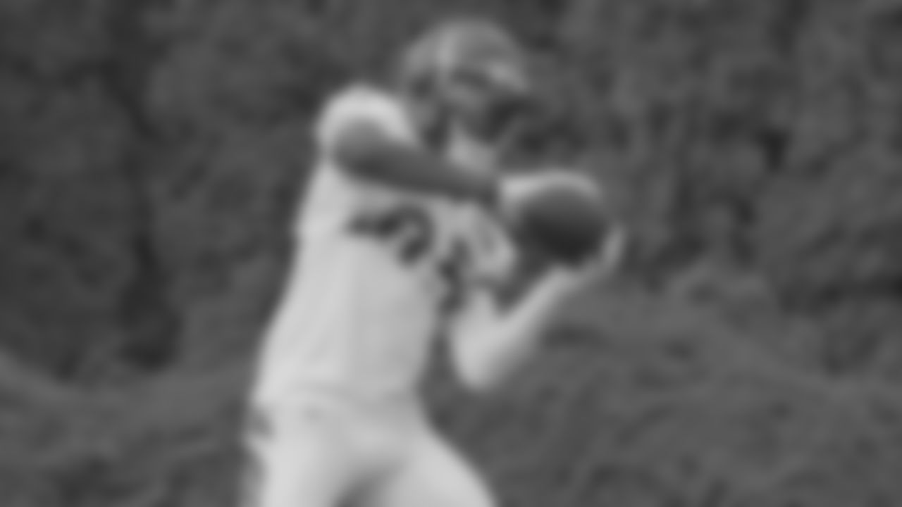 WR Tee Higgins