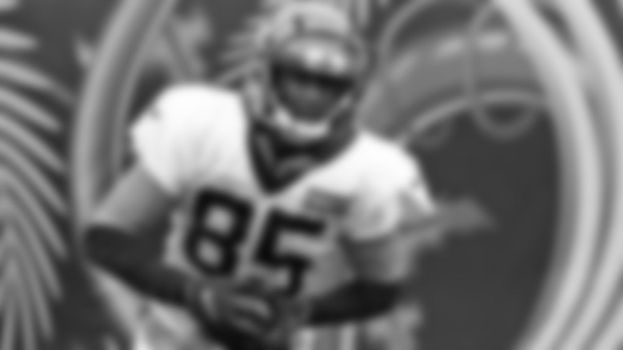 WR Tee Higgins