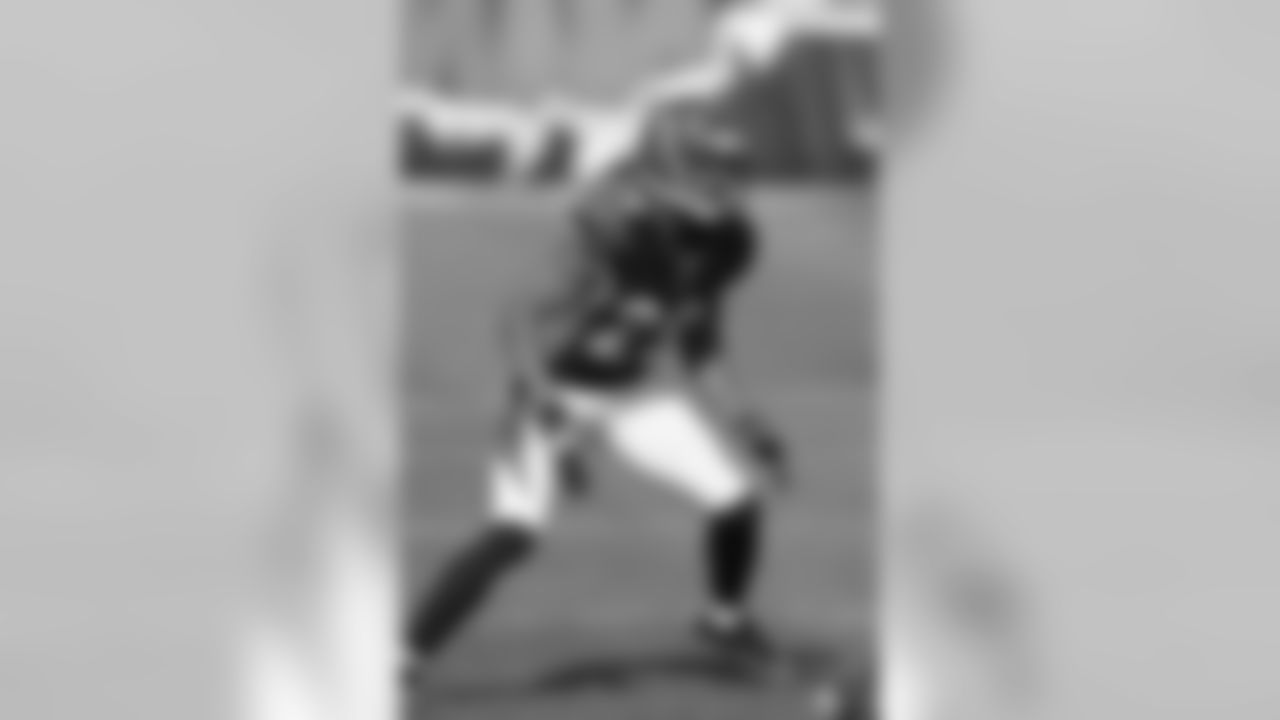 Dolphins-Bengals Gallery (10/31/10)