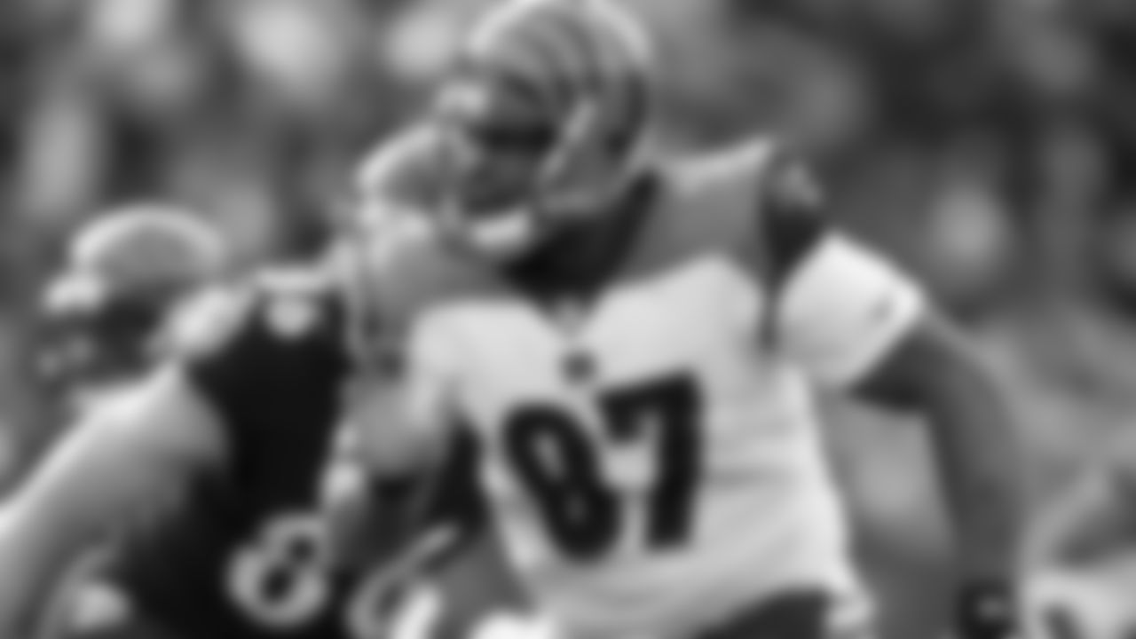 Cincinnati Bengals defensive tackle Geno Atkins (97) closes to the ball in action against the Baltimore Ravens on Sunday November 18, 2018 in Baltimore. (Damian Strohmeyer via AP)