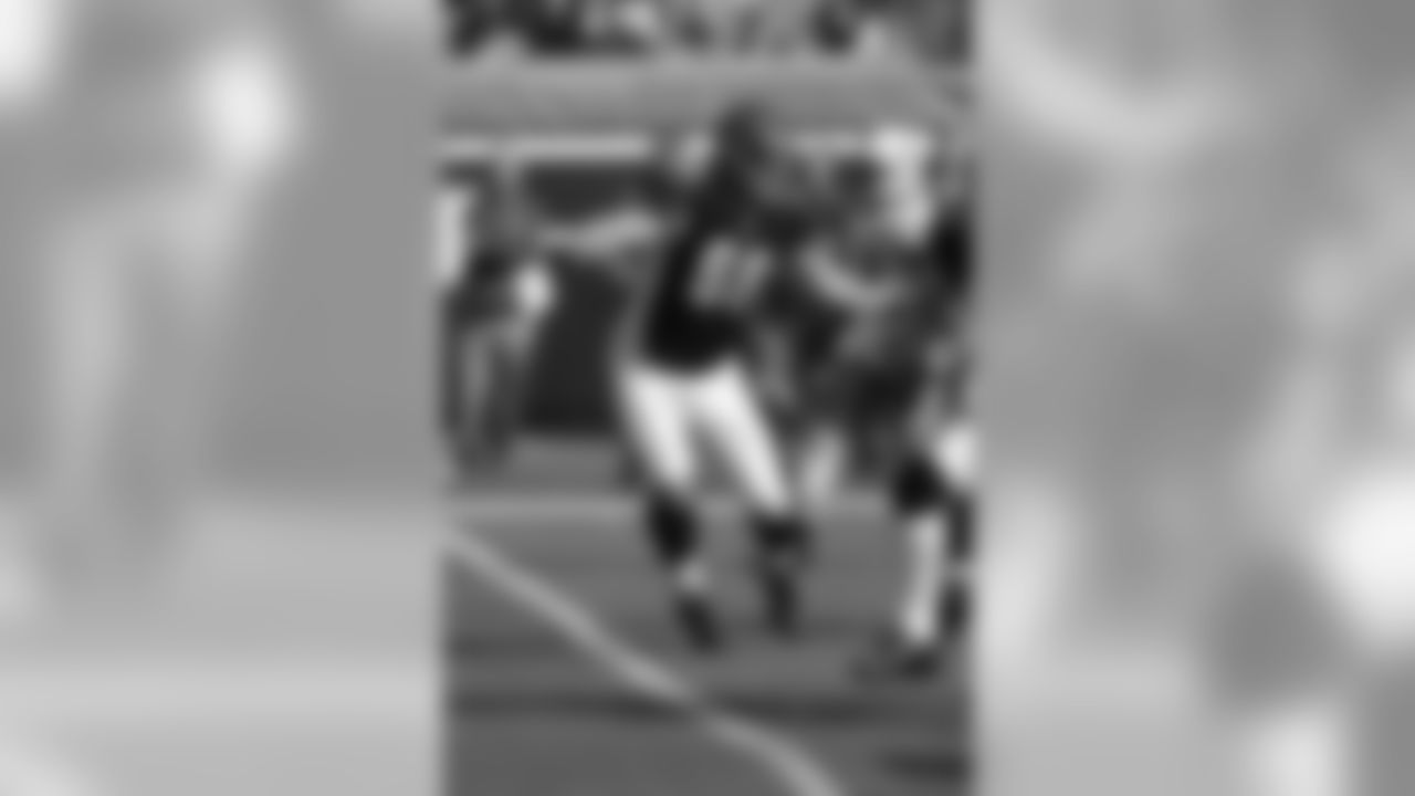Dolphins-Bengals Gallery (10/31/10)