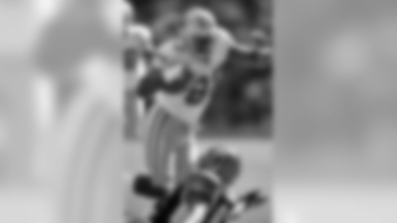 Bengals Photo