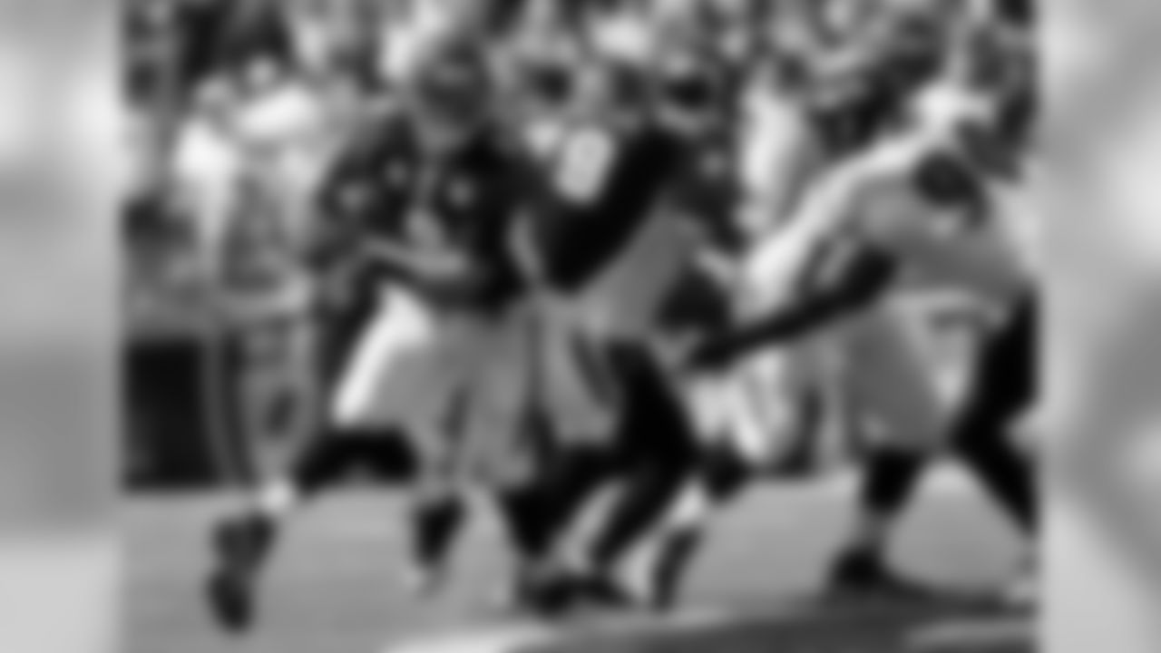 Bengals Photo