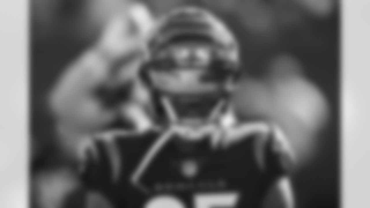 WR Tee Higgins
