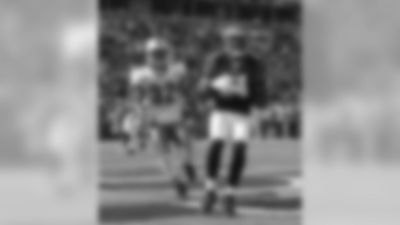 Dolphins-Bengals Gallery (10/31/10)