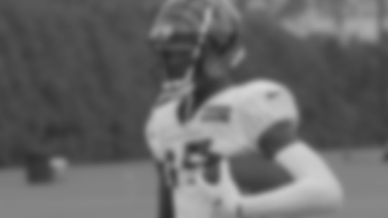 WR Tee Higgins