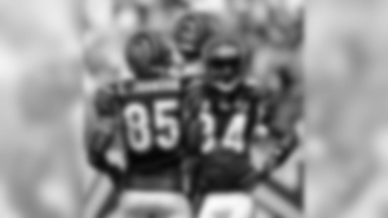 Bengals Photo