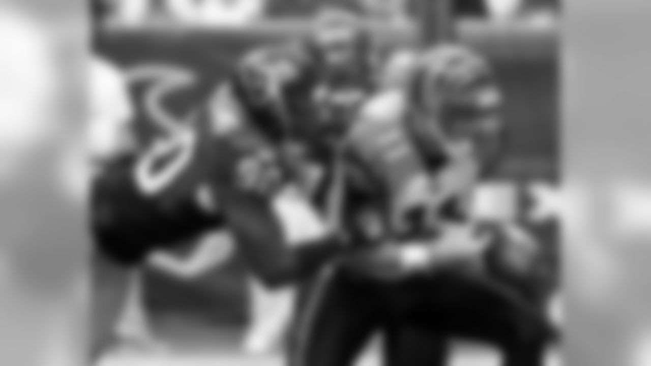 Bengals Photo
