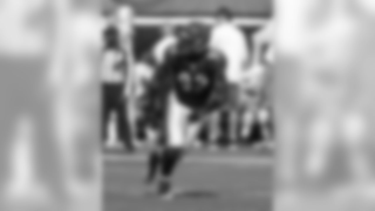 Dolphins-Bengals Gallery (10/31/10)