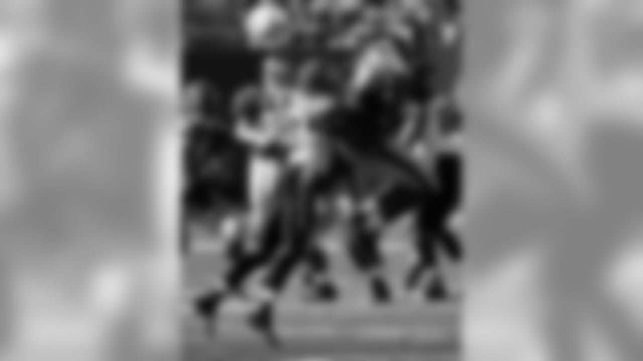 Bengals Photo